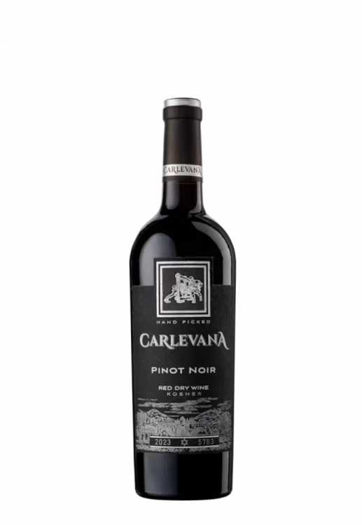 Вино «Pinot Noir» 2023 Kosher, Carlevana. 0,75