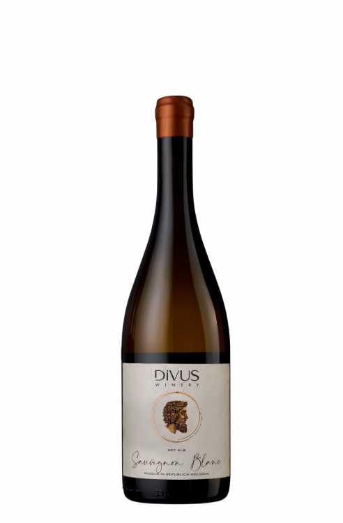 Вино «Sauvignon Blanc» 2024 Divus. 0,75